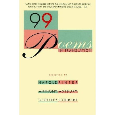 99 Poems in Translation - (Paperback)