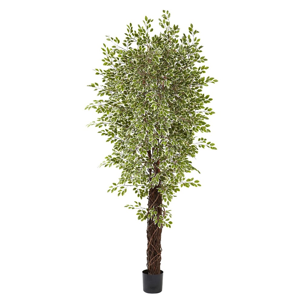 Photos - Garden & Outdoor Decoration Nearly Natural 7.5' Variegated Mini Ficus Tree