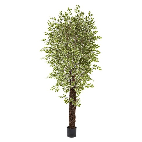 Nearly Natural 7.5' Variegated Mini Ficus Tree - image 1 of 3