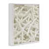 Stupell Industries Nautical White Starfish Photography, 12" x 12" - 3 of 4
