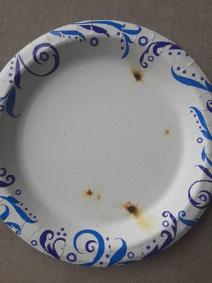 Guest review image 1 of 1, zoom in