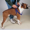Casual Canine Nylon 2 Step Harness 9-15In Blue - 3 of 4