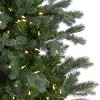 6.5' Prelit Balsam Artificial Christmas Tree Multicolor Lights - National Tree Company - 3 of 4