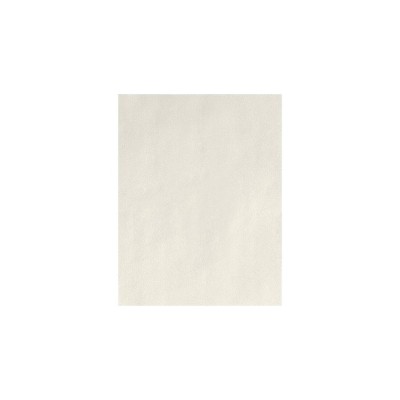 8.5x11 50-sheet Bright White Cardstock 65 Lb- Astrodesigns : Target