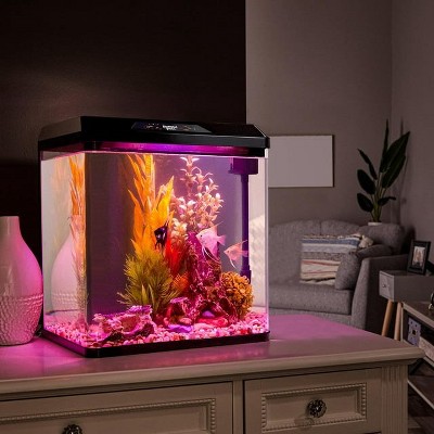 JumblPets 2 Gallon Glass Fish Tank Kit with LED Lighting