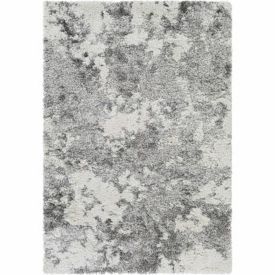 Hauteloom Dawesville Gray White Shag Area Rug