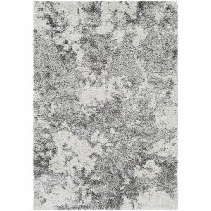 Hauteloom Dawesville Gray White Shag Area Rug - 1 of 4