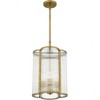 Quoizel Lighting Aster 4 - Light Pendant in  Weathered Brass - 4 of 4