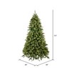 Vickerman Cashmere Pine Artificial Christmas Tree - 3 of 4