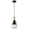 Nuvo Lighting Admiral 1 - Light Pendant in  Matte Black/Natural Brass - 2 of 4
