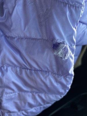 Guest review image 1 of 1, zoom in