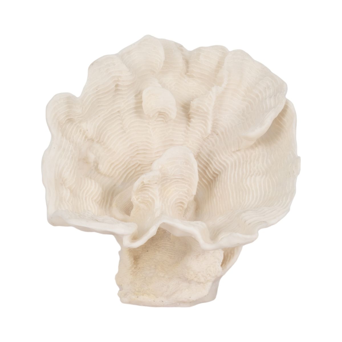 Decorative Coral Inspired Sculpture for Home, Bathroom and Living Room Decor - Coastal Resin Ornaments for Shelf and Office Display - 6", Ivory & Tan - thumbnail 6