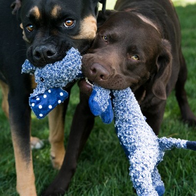 Mikki Dog and Puppy Target Stick for Teaching Fun Dog Tricks 2 Target Sizes Included
