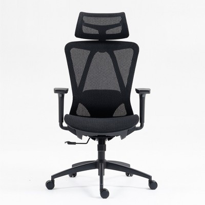 Dolonm Ergonomic Home  Office Chair with Adjustable Lumbar & Headrest - Breathable Mesh Back, 3D Armrests, 90°-120° Recline