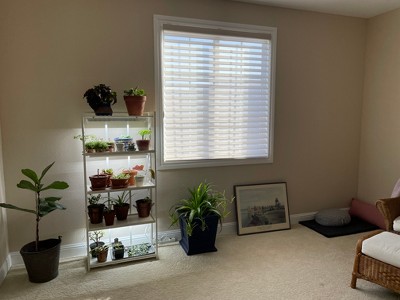 Guest review image 1 of 2, zoom in