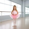 Ruby Slipper Sales Co., LLC (Rubies) Pink Tutu Child Costume | One Size - 4 of 4