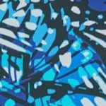 teal blue butterfly