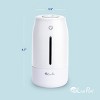 LivePure Cool Mist Humidifiers  w/ Quiet Operation, USB-C Rechargeable. - 3 of 4