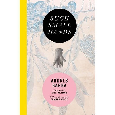 Such Small Hands - by  Andrés Barba (Paperback)