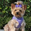 American River Solid Ultra Choke Free Dog Harness - Paisley Purple - 3 of 4