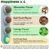 Potaroma 4 Catnip Balls and 3 Catnip Pillows - 2 of 3