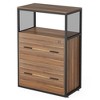 Resenkos File Cabinet, Filing Cabinet for Home Office, 2-Drawer File Cabinet, Letter/Legal / A4 Size Filing Cabinet with Lock,Brown - 2 of 4