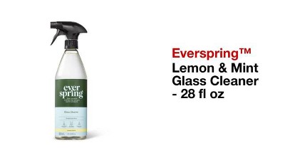 Lemon & Mint Stainless Steel Wipes - 30ct - Everspring™