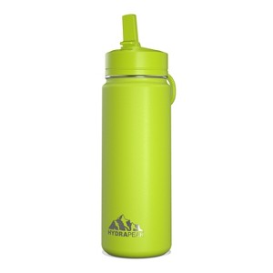 Hydrapeak 20oz Kids Stainless Steel Leak Proof Water Bottle with Straw Lid and Flexible Handle - 1 of 4