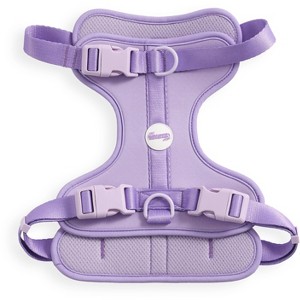 THE LICKER STORE Arlo Adjustable Soft Padded No Pull Pet Harness with 3 Buckles and 3 Leash Clips - 1 of 4