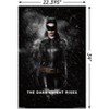 Trends International DC Comics Movie - The Dark Knight Rises - Catwoman Rain Unframed Wall Poster Prints - 3 of 4