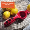 Hush Sun One Size Lemon And Lime Squezzer - 3 of 4