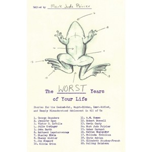 The Worst Years of Your Life - by  Mark Jude Poirier (Paperback) - 1 of 1