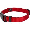 Country Brook Petz Deluxe Nylon Dog Collar and Leash - 2 of 4