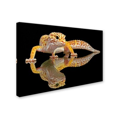 Trademark Fine Art -Dikky Oesin 'Leopard Gecko' Canvas Art