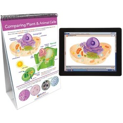 New and Sealed Science Educational Flip Chart by Chart Studio 