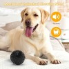 Bellura Pet - Squeaky Spike Ball Dog Toy - Black - 2 of 4