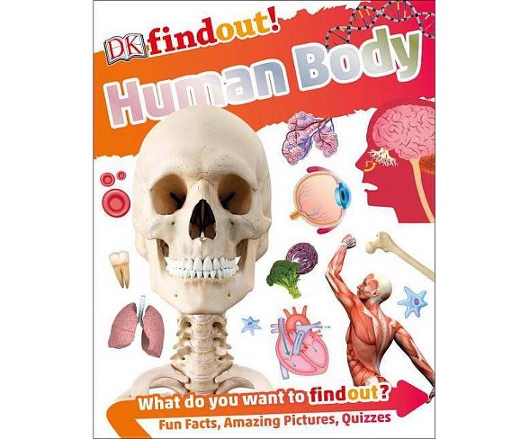 Dkfindout! Human Body - (DK Find Out!)(Paperback)