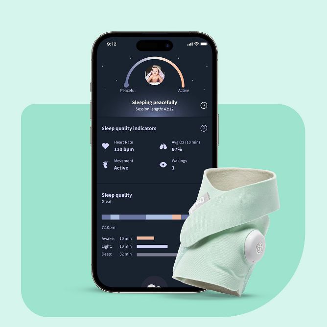 Target owlet smart store sock