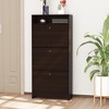 TiramisuBest Shoe Cabinet,Entry Home Shoe Cabinet,Entrance Balcony Storage Cabinet,Large Capacity Shoe Rack,Gray/Charcoal - 3 of 4