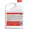 IRON OUT Rust Stain Remover Powder - 2 of 4