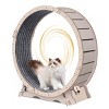 41'' Cat Exercise Wheel with Carpeted Runway Silent Indoor Cat Running Wheel for Large Cats - LAOTIES - 3 of 4