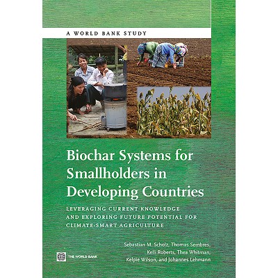 Biochar Systems for Smallholders in Developing Countries - (World Bank Studies) (Paperback)