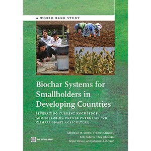 Biochar Systems for Smallholders in Developing Countries - (World Bank Studies) (Paperback) - 1 of 1