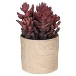 Northlight 7" Purple Artificial Succulent in Faux Wood Pot