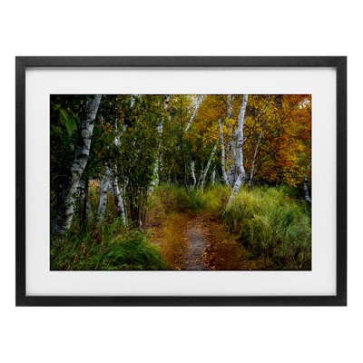 Stupell Industries Walk In The Hemlocks Forest Framed Print Under Glass Art
