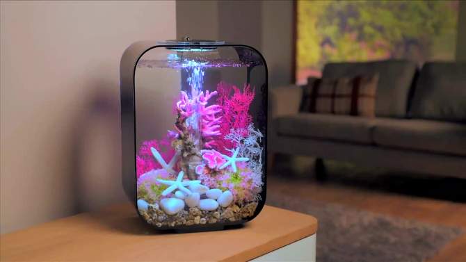 biOrb Reef Ornament Aquarium Sculptures, 6 of 9, play video