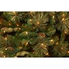 National Tree Company 9' Pre-lit Carolina Pine Artificial Christmas Tree with Clear Lights - 3 of 3