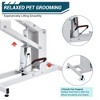 Hydraulic Dog Grooming Table, Heavy Duty 350Lbs Capacity Professional Pet Grooming Table - 3 of 4