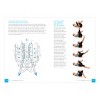 The PSOAS: Integrating Your Inner Core - 2 of 2