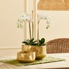 Plum & Post Amelia Cachepots, Set Of 2 - 4 of 4